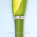 Eterna Sapphire Silver Band Ring
