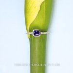 Royal Gleam Blue Sapphire Silver Ring
